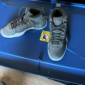 Air Jordan Dark Grey 12s